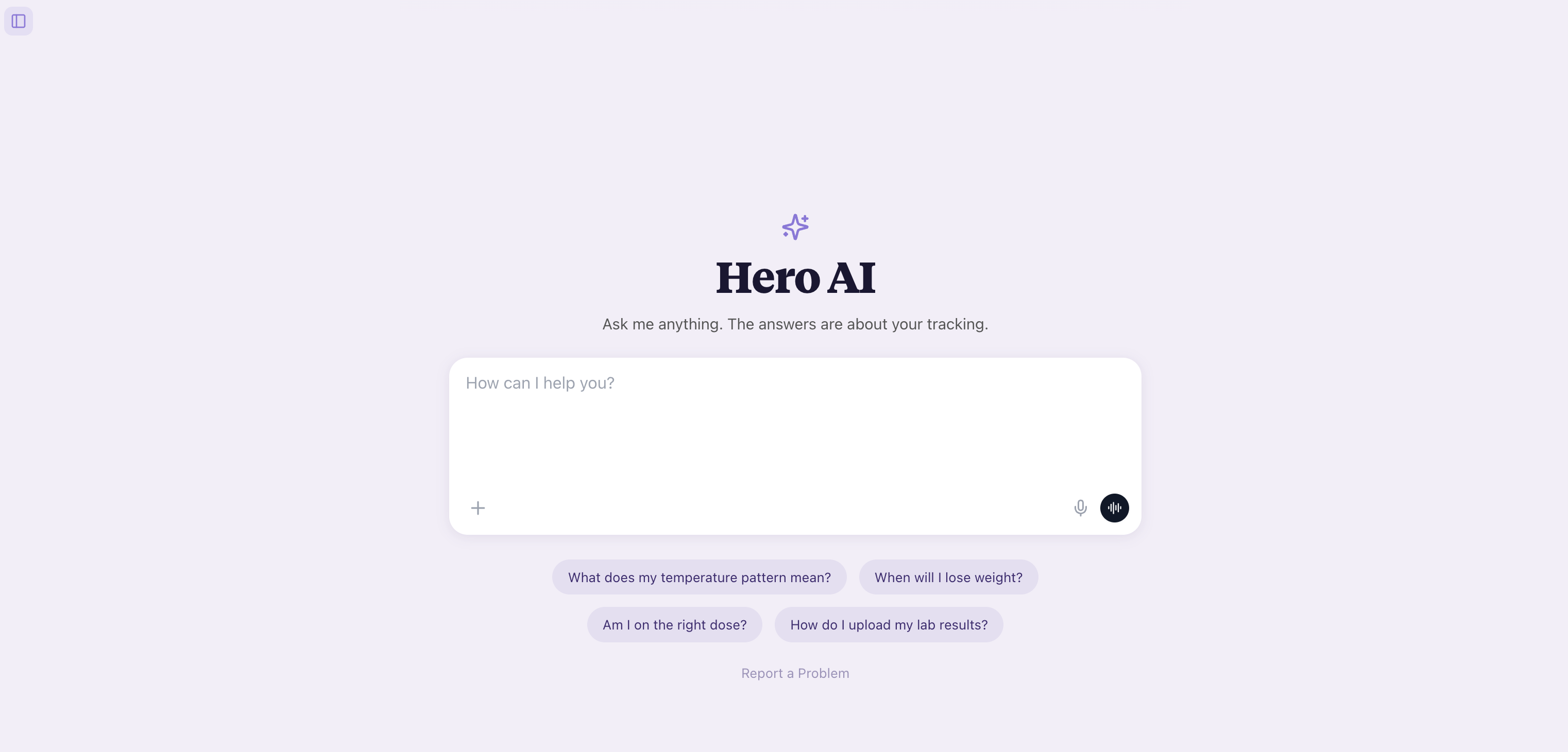 Hero AI in the HypoHero app, with suggested questions about your temperature pattern, weight, and dose